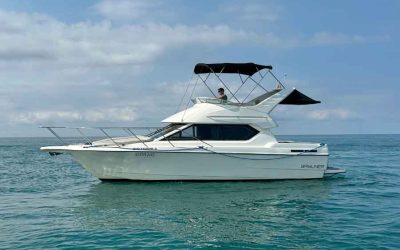 Катер Bayliner 288 (Виктория-А)